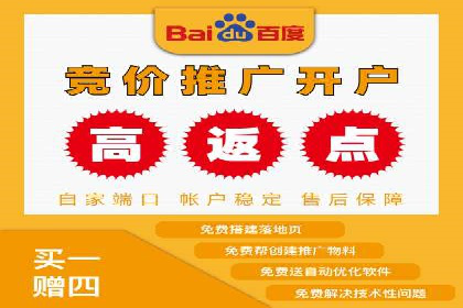深度解析：竞价推广公司经典案例
